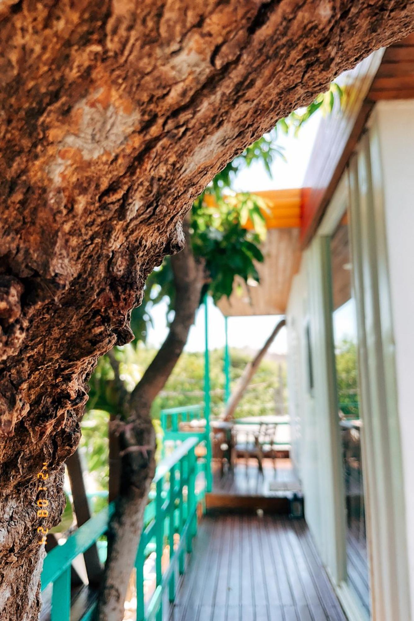 Little Ryukyu Hermit Crab Homestay Hsziaoliucsiu Kültér fotó